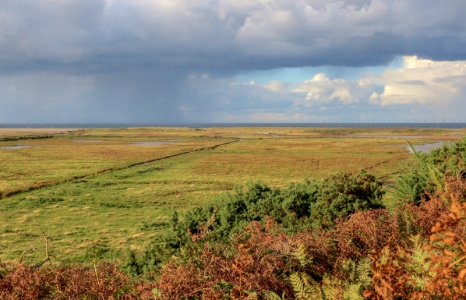 Salthouse marshes - Kenneth Noble