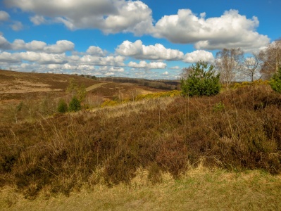 Ashdown Forest, East Sussex