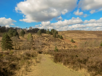 Ashdown Forest, East Sussex - Kenneth Noble
