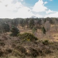 Ashdown Forest, East Sussex - Kenneth Noble