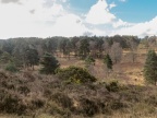 Ashdown Forest, East Sussex - Kenneth Noble
